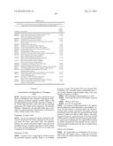 MAIZE ETHYLENE SIGNALING GENES AND MODULATION OF SAME FOR IMPROVED STRESS     TOLERANCE IN PLANTS diagram and image