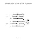 HiC:  Method of Identifying Interactions Between Genomic Loci diagram and image