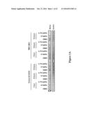 METHODS FOR DETERMINING DRUG EFFICACY FOR THE TREATMENT OF DIFFUSE LARGE     B-CELL LYMPHOMA, MULTIPLE MYELOMA, AND MYELOID CANCERS diagram and image