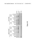 METHODS FOR DETERMINING DRUG EFFICACY FOR THE TREATMENT OF DIFFUSE LARGE     B-CELL LYMPHOMA, MULTIPLE MYELOMA, AND MYELOID CANCERS diagram and image