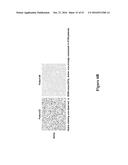 METHODS FOR DETERMINING DRUG EFFICACY FOR THE TREATMENT OF DIFFUSE LARGE     B-CELL LYMPHOMA, MULTIPLE MYELOMA, AND MYELOID CANCERS diagram and image