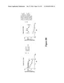 METHODS FOR DETERMINING DRUG EFFICACY FOR THE TREATMENT OF DIFFUSE LARGE     B-CELL LYMPHOMA, MULTIPLE MYELOMA, AND MYELOID CANCERS diagram and image