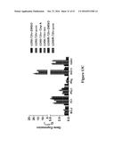 METHODS FOR DETERMINING DRUG EFFICACY FOR THE TREATMENT OF DIFFUSE LARGE     B-CELL LYMPHOMA, MULTIPLE MYELOMA, AND MYELOID CANCERS diagram and image