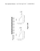 METHODS FOR DETERMINING DRUG EFFICACY FOR THE TREATMENT OF DIFFUSE LARGE     B-CELL LYMPHOMA, MULTIPLE MYELOMA, AND MYELOID CANCERS diagram and image