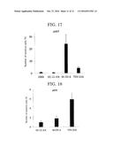 METHOD FOR PREDICTING ANTITUMOR EFFICACY OF HSP90 INHIBITOR IN CANCER     TREATMENT diagram and image