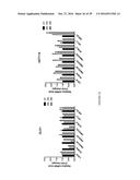 TARGETING EMOPAMIL BINDING PROTEIN (EBP) WITH SMALL MOLECULES THAT INDUCE     AN ABNORMAL FEEDBACK RESPONSE BY LOWERING ENDOGENOUS CHOLESTEROL     BIOSYNTHESIS diagram and image