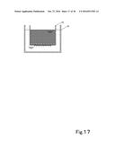BICOMPATIBLE LIQUID AND METHOD FOR SCREENING SAME diagram and image