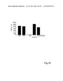 BICOMPATIBLE LIQUID AND METHOD FOR SCREENING SAME diagram and image