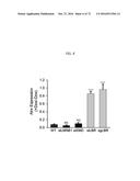 REACTIVATION OF X CHROMOSOME GENES diagram and image