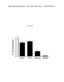 REACTIVATION OF X CHROMOSOME GENES diagram and image