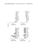 REACTIVATION OF X CHROMOSOME GENES diagram and image