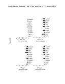 REACTIVATION OF X CHROMOSOME GENES diagram and image