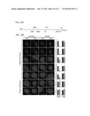 REACTIVATION OF X CHROMOSOME GENES diagram and image