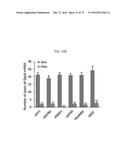 REACTIVATION OF X CHROMOSOME GENES diagram and image