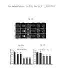 REACTIVATION OF X CHROMOSOME GENES diagram and image