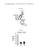 REACTIVATION OF X CHROMOSOME GENES diagram and image