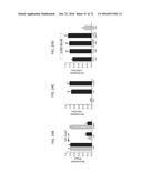 REACTIVATION OF X CHROMOSOME GENES diagram and image