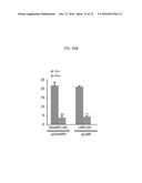 REACTIVATION OF X CHROMOSOME GENES diagram and image