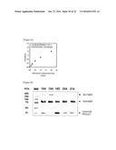 ANTIBODY CAPABLE OF BINDING TO SPECIFIC REGION OF PERIOSTIN, AND METHOD     FOR MEASURING PERIOSTIN USING SAME diagram and image