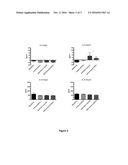 COMPOSITIONS FOR ENHANCING IMMUNE FUNCTION IN A PEDIATRIC SUBJECT diagram and image