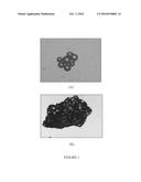 WATER ABSORBENT POLYMERS AND A PROCESS FOR THEIR PREPARATION diagram and image