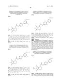 MALEIMIDE DERIVATIVES AS MODULATORS OF WNT PATHWAY diagram and image