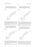 MALEIMIDE DERIVATIVES AS MODULATORS OF WNT PATHWAY diagram and image