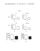 URIDINE DIPHOSPHATE DERIVATIVES, COMPOSITIONS AND METHODS FOR TREATING     NEURODEGENERATIVE DISORDERS diagram and image