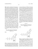 NOVEL 7-DEAZAPURINE NUCLEOSIDES FOR THERAPEUTIC USES diagram and image