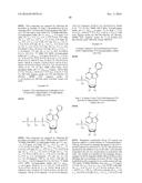 NOVEL 7-DEAZAPURINE NUCLEOSIDES FOR THERAPEUTIC USES diagram and image