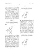 NOVEL 7-DEAZAPURINE NUCLEOSIDES FOR THERAPEUTIC USES diagram and image