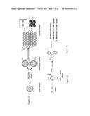 NUCLEIC ACID COATED COLLOIDS diagram and image