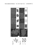 NUCLEIC ACID COATED COLLOIDS diagram and image