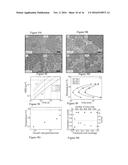 NUCLEIC ACID COATED COLLOIDS diagram and image