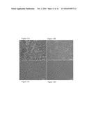 NUCLEIC ACID COATED COLLOIDS diagram and image