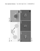 NUCLEIC ACID COATED COLLOIDS diagram and image