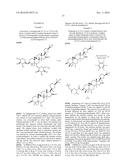 COMPOSITIONS AND METHODS FOR INCREASING TELOMERASE ACTIVITY diagram and image