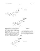 COMPOSITIONS AND METHODS FOR INCREASING TELOMERASE ACTIVITY diagram and image