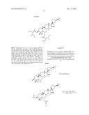COMPOSITIONS AND METHODS FOR INCREASING TELOMERASE ACTIVITY diagram and image