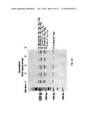 Methods of Transcription Activator Like Effector Assembly diagram and image