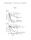 INTERACTION OF MORAXELLA CATARRHALIS WITH EPITHELIAL CELLS, EXTRACELLULAR     MATRIX PROTEINS AND THE COMPLEMENT SYSTEM diagram and image