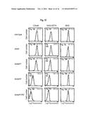 INTERACTION OF MORAXELLA CATARRHALIS WITH EPITHELIAL CELLS, EXTRACELLULAR     MATRIX PROTEINS AND THE COMPLEMENT SYSTEM diagram and image