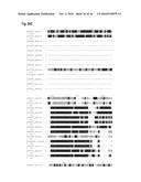 INTERACTION OF MORAXELLA CATARRHALIS WITH EPITHELIAL CELLS, EXTRACELLULAR     MATRIX PROTEINS AND THE COMPLEMENT SYSTEM diagram and image