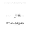 POLYPEPTIDES TARGETING GLYCOSYLATED MUC2 PROTEINS, METHODS OF SYNTHESIS,     THEIR NUCLEIC ACIDS AND USES THEREOF diagram and image