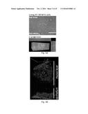 POLYPEPTIDES TARGETING GLYCOSYLATED MUC2 PROTEINS, METHODS OF SYNTHESIS,     THEIR NUCLEIC ACIDS AND USES THEREOF diagram and image