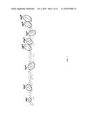 PROTEASE RESISTANT PEPTIDES diagram and image