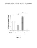 ISOFORM OF THE TGF-BETA RECEPTOR II diagram and image