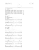 ISOFORM OF THE TGF-BETA RECEPTOR II diagram and image