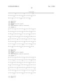 TYPE III SECRETION SYSTEM TARGETING MOLECULES diagram and image