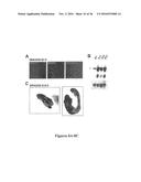 DRG11-RESPONSIVE (DRAGON) GENE AND USES THEREOF diagram and image